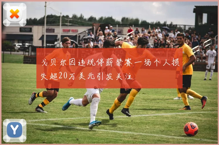 戈贝尔因违规停薪禁赛一场个人损失超20万美元引发关注